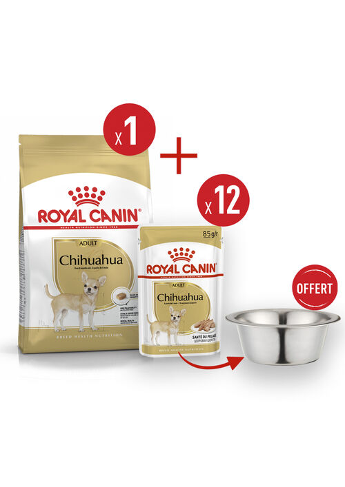Pack Chihuahua Adult product image