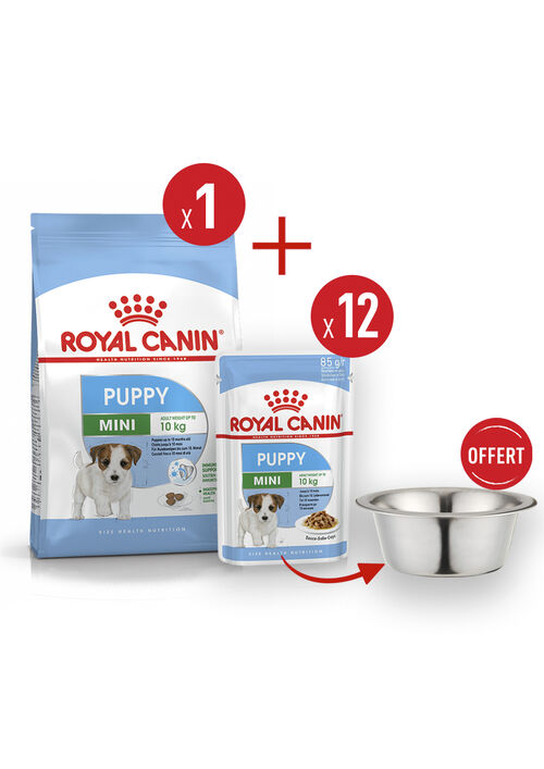 Pack Mini Puppy product image