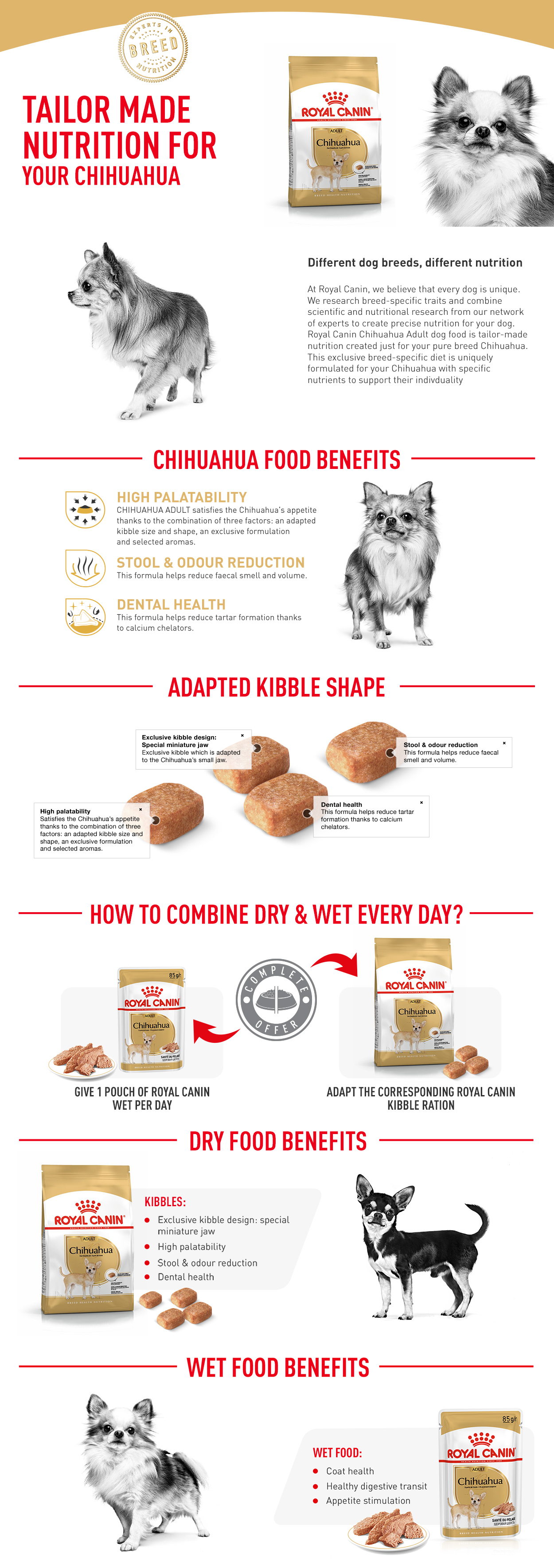 Chihuahua Adult – Dog Retail Products | Royal Canin Shop