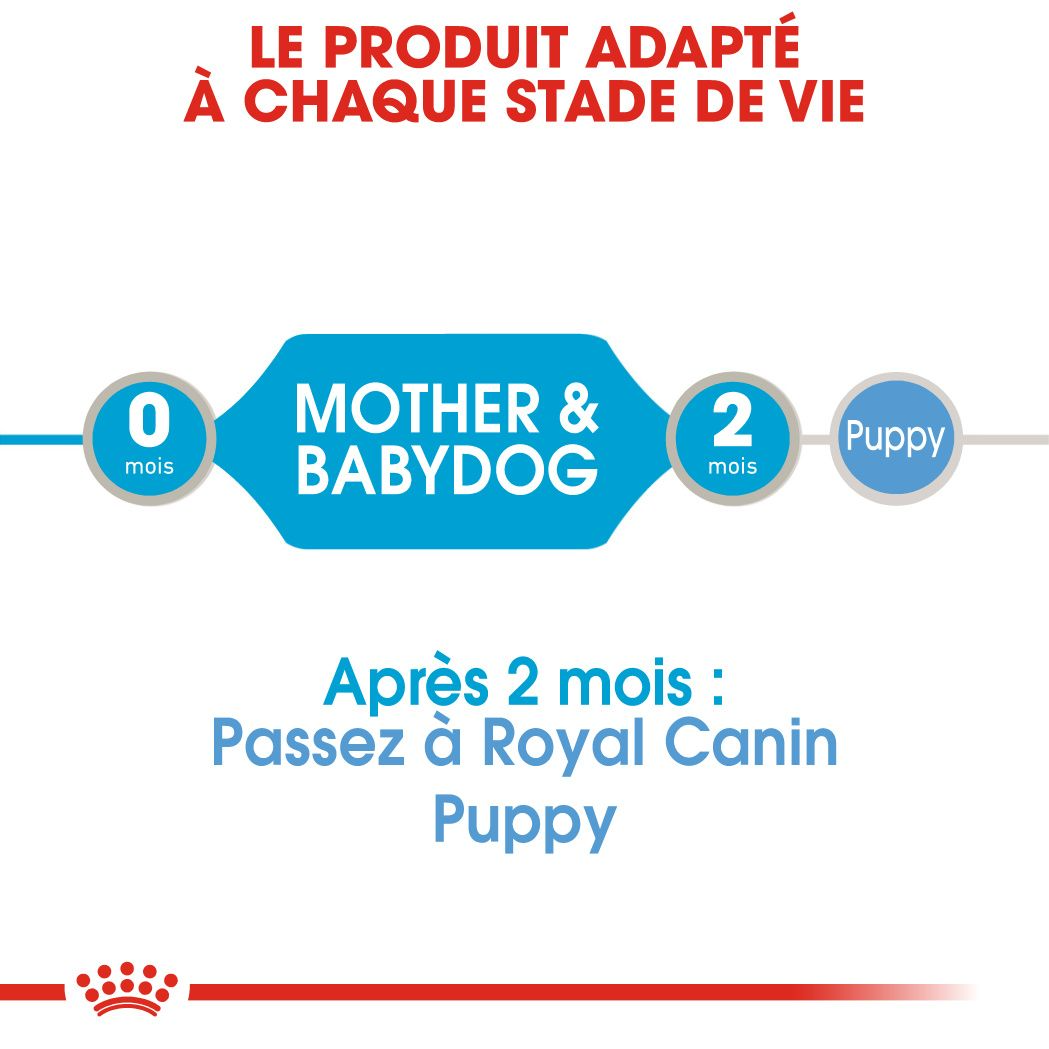 Starter Mother & Babydog en mousse