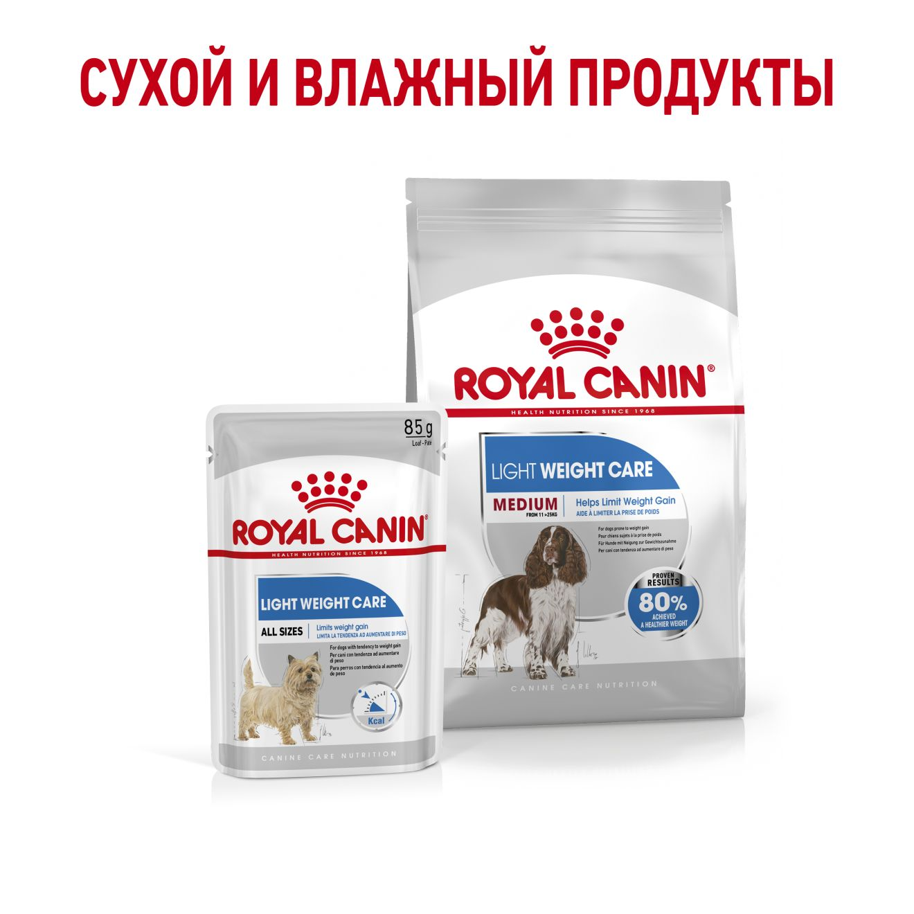 royal canin medium light
