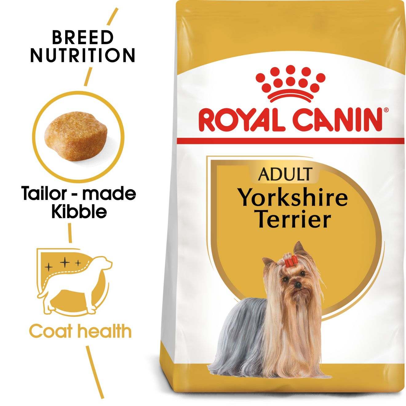 Yorkshire Terrier Adult