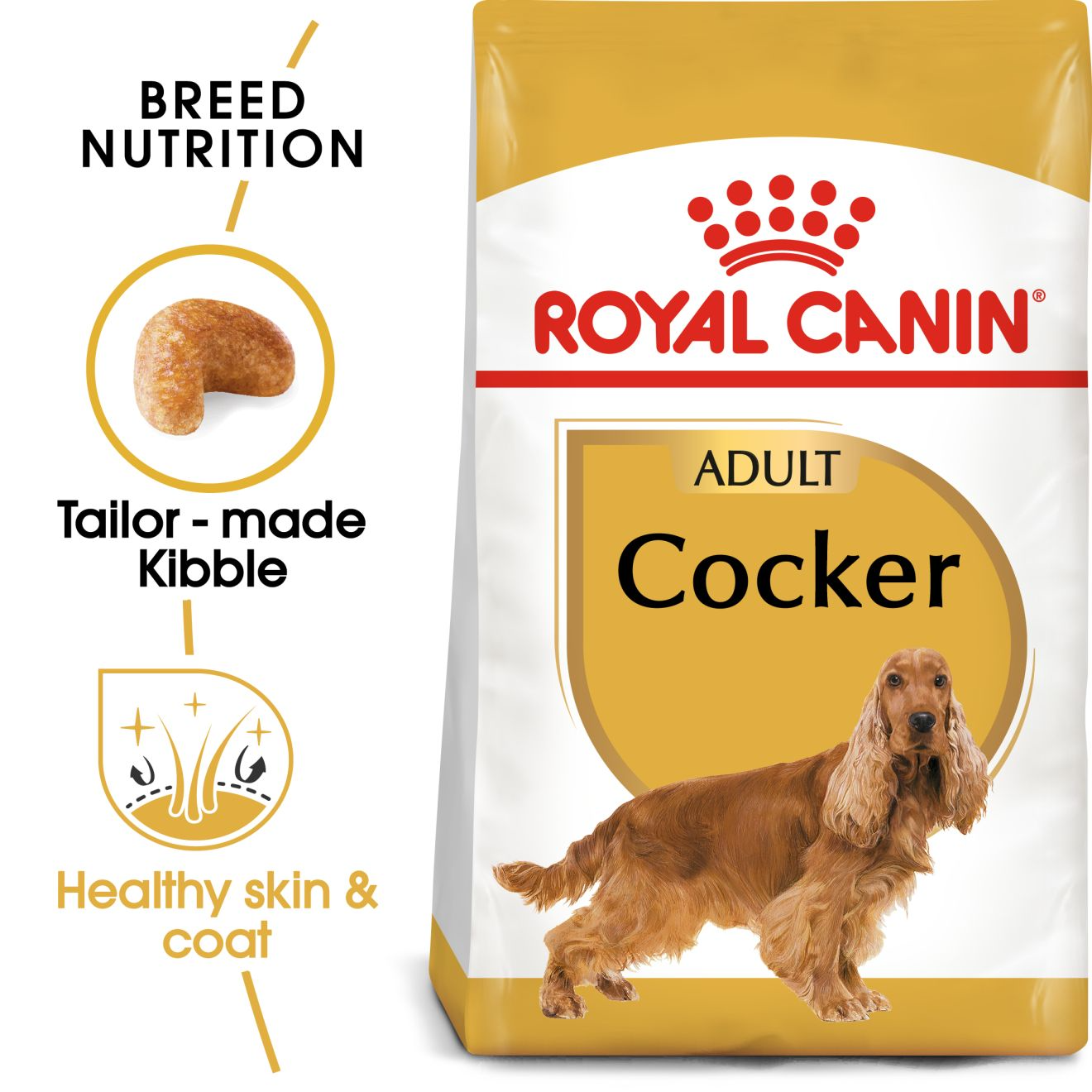 Cocker Adult