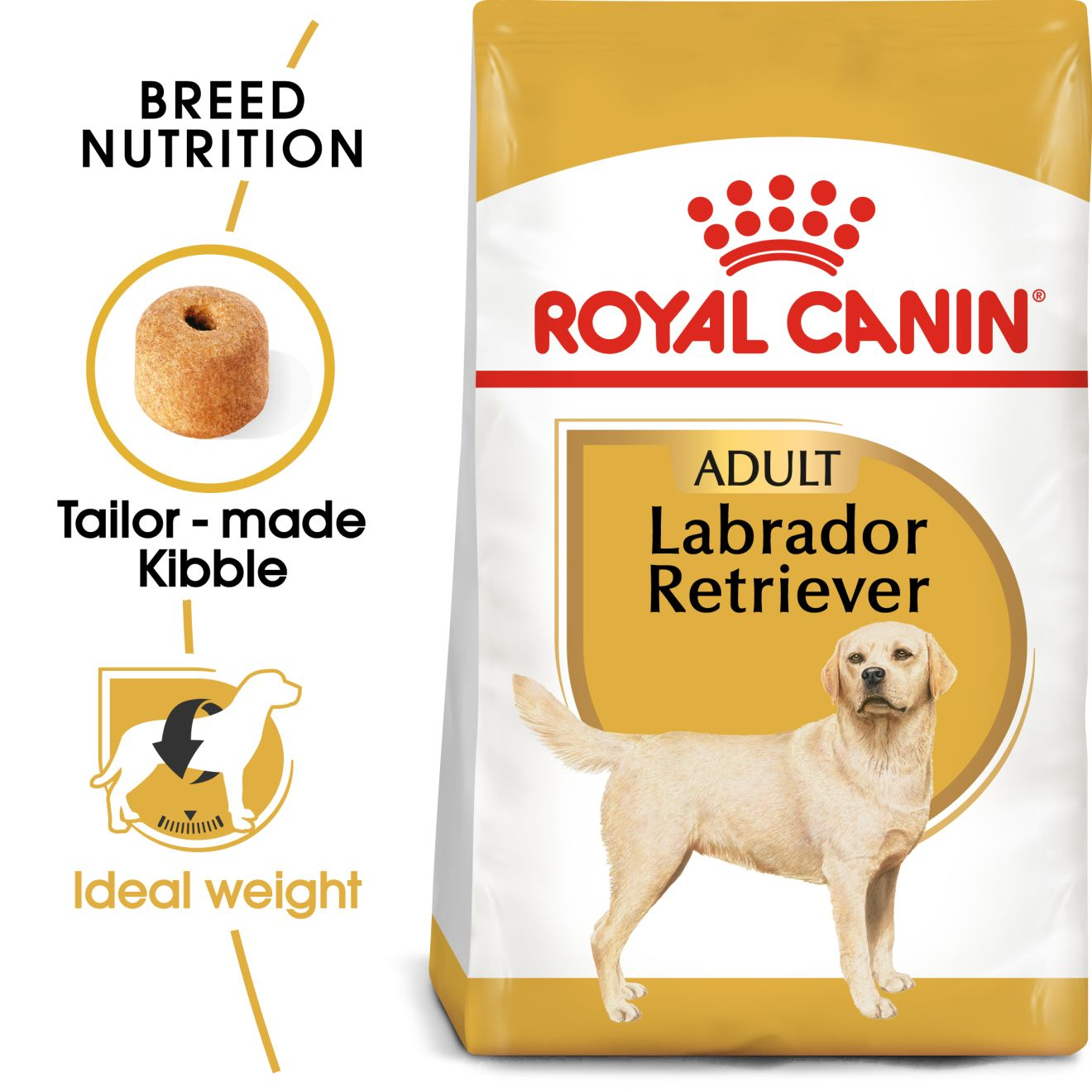 Labrador Retriever Adult Yetiskin Ve Yasli Labrador Retriever Kopekleri Icin Komple Mama 15 Aydan Buyuk Royal Canin Turkiye