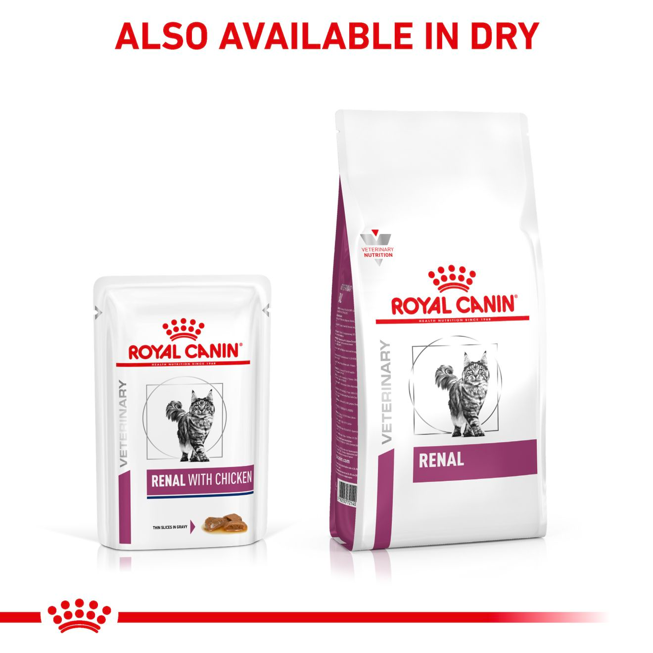 royal canin kd